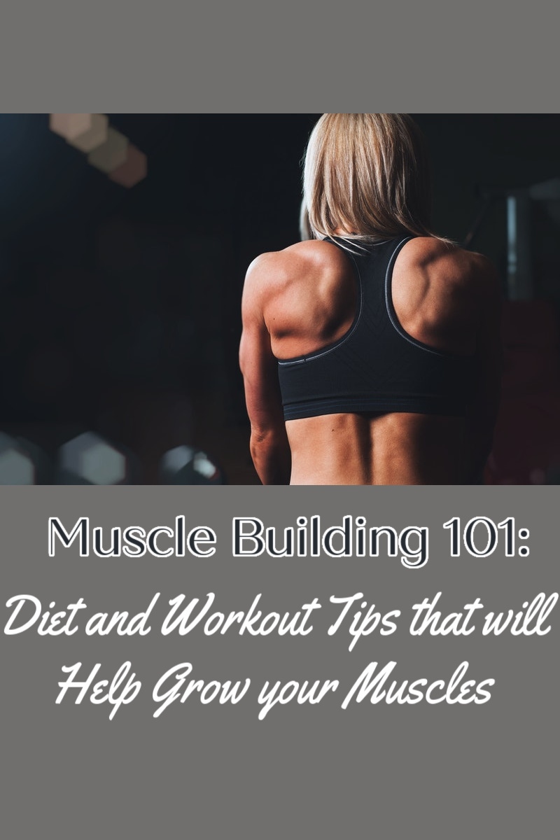 muscle building 101 - diet and workout tips