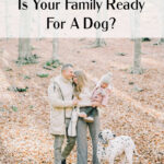 Is Your Family Ready For A Dog?